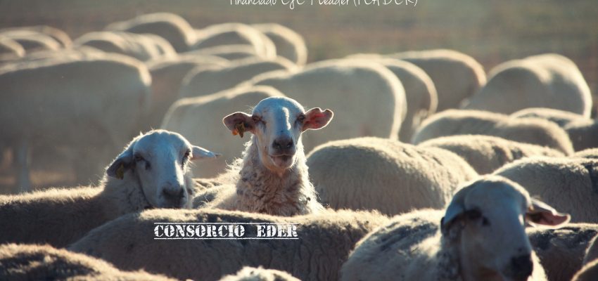 La Casa del Corderico de Navarra.Portal On-line de productos cárnicos.