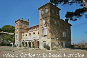 bocal