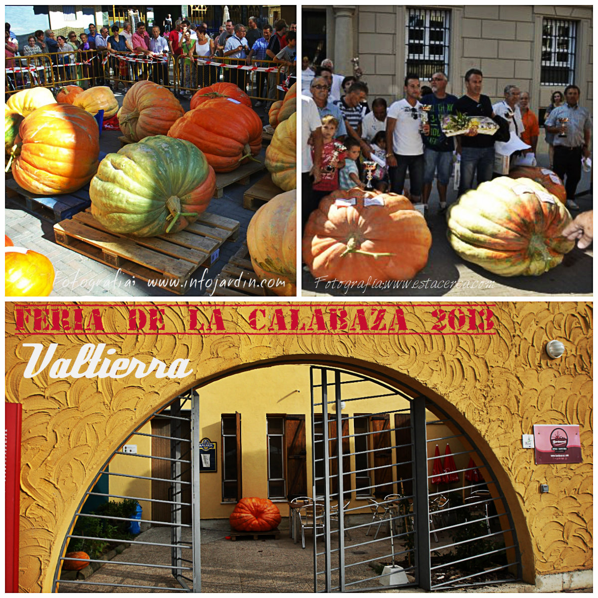 Calabaza 2013