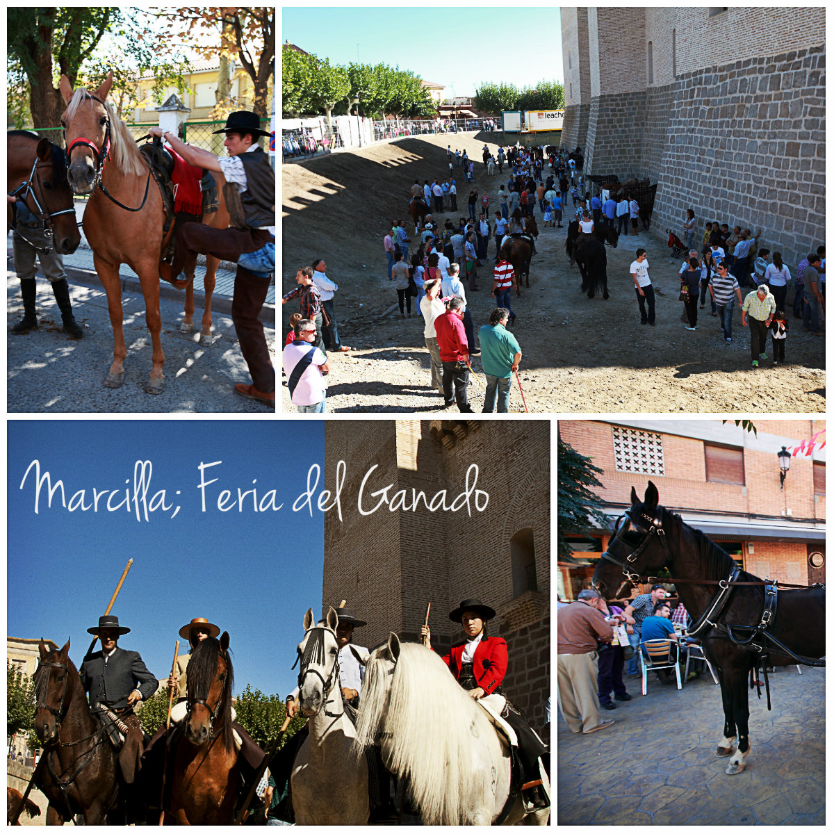 collage Marcilla