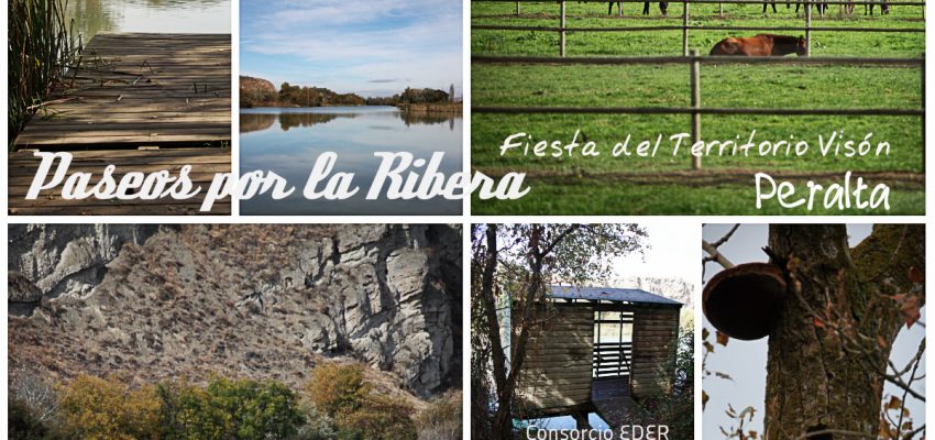 Peralta, paseos por la Ribera. Jornada Territorio Visón 7 de Junio