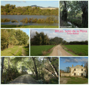 collage SOTO MORA