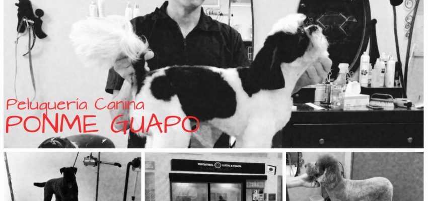 Peluquería canina PONME GUAPO en Tudela.