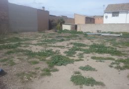 Ejecución de un parque en la calle Ramirez Figueras, 36 de Buñuel