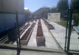 Huerto escolar Anunciata Tudela