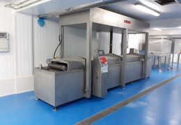 Mejora en el proceso productivo para la obtencion de congelados