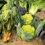 Mercado de las Verduras de Invierno de Azagra