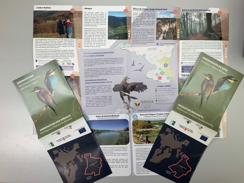 Birding - Fitur2020