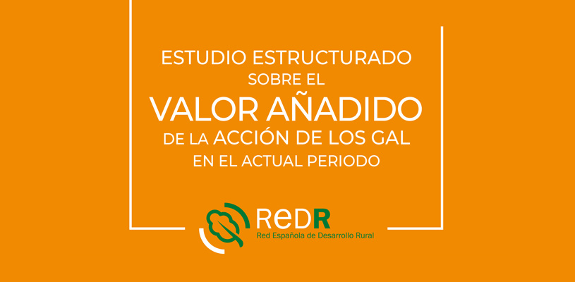 Estudio estructurado sobre el valor añadido de la acción de los GAL