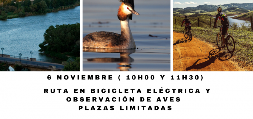 Paseo en bici eléctrica y observación de aves en Tudela