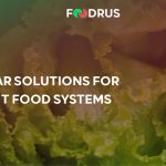Consorcio EDER sigue avanzando a través del proyecto FoodRUs en su lucha contra el desperdicio alimentario