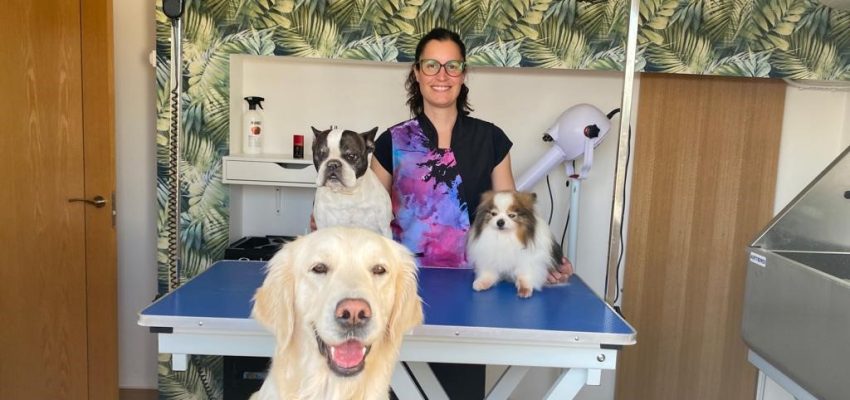 “STETICAN”, nueva peluquería canina en Fontellas