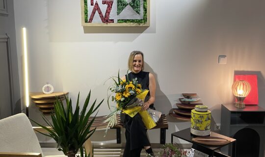 “Ana Zuazu Interiorismo”, nuevo estudio creativo de interiorismo y decoración en Tudela.