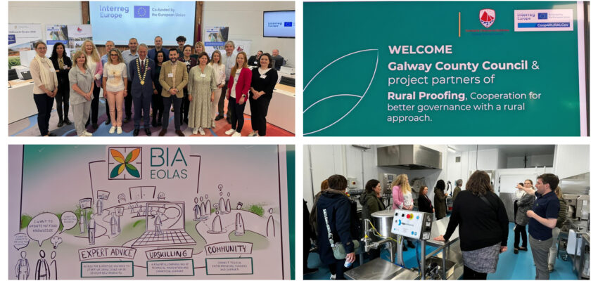 Consorcio EDER acompaña a la delegación de Navarra en su visita a Galway en el marco del Proyecto INTERREG COOP4RURALGOV