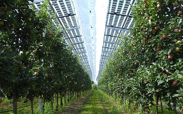 Arranca AGROSOL, un proyecto europeo para integrar energía solar y agricultura en territorio SUDOE