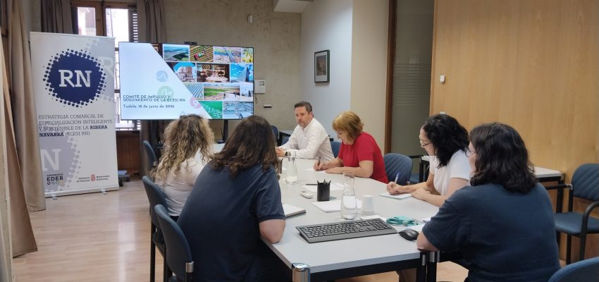 Comité de Impulso y Seguimiento de la ECESI RN