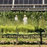 AgroSOL sensibiliza al público sobre los retos de la agrovoltaica durante una jornada de puertas abiertas en la Ferme du Futur