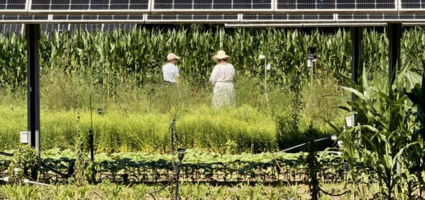 AgroSOL sensibiliza al público sobre los retos de la agrovoltaica durante una jornada de puertas abiertas en la Ferme du Futur