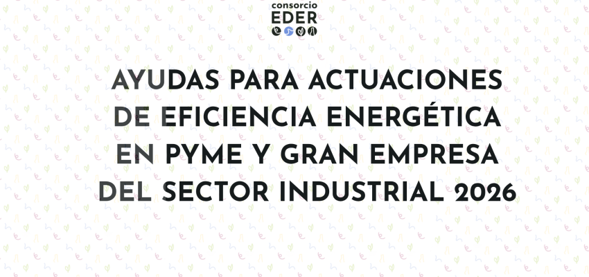 Ayudas para actuaciones de eficiencia energética en PYME y gran empresa del sector industrial 2026